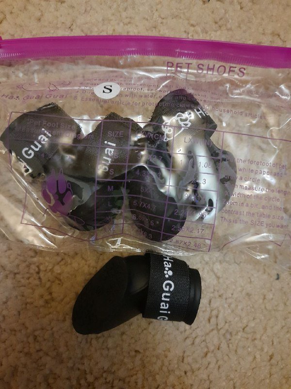 Шлейка, поводок, обувь для питомцев 3