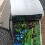 Книга по фотографии «Магия кадра» 3