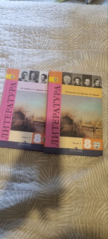 Учебники и тетради по различным предметам для 8 класса 9