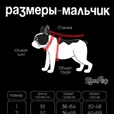 Дождевик для мальчика 2