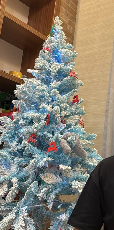 Голубая елка с имитацией снега, 145см