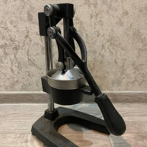 Manual citrus juicer
