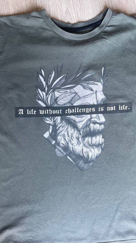 Мужская футболка размер L цвета хаки 2