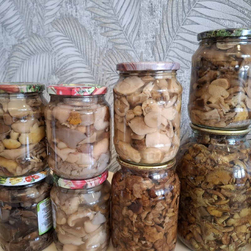 Грибы в банках 1 литр, 2 литра, 0.5 литра 5