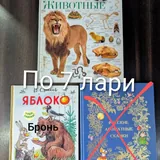 Книги, учебники для 2 и 3 класса 4