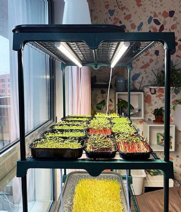 Фитолампы VA-2 20Вт и VA-3 30Вт для микрозелени 3