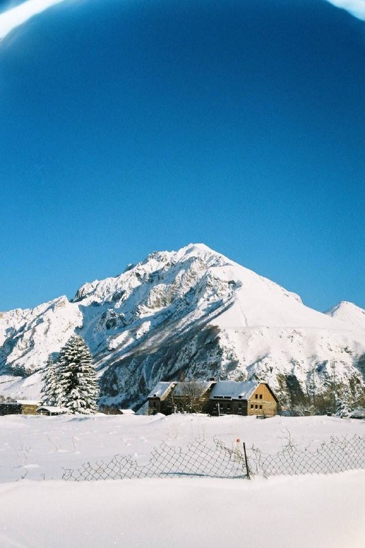Пленочная камера Canon Canonet QL17 G-III 7