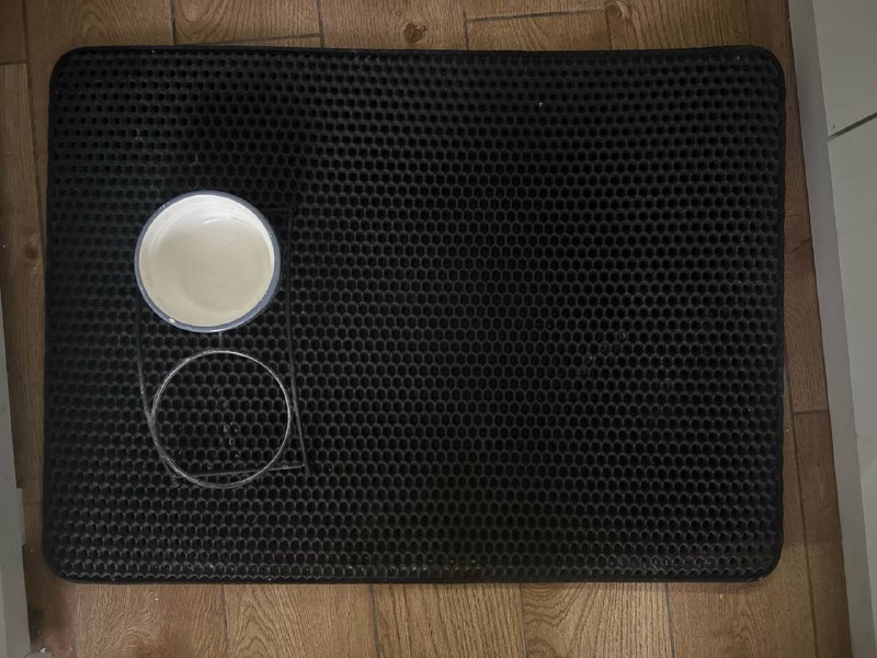 Картина, Сэндвичница, Клатч красный, Коврик для кошачьего туалета 7