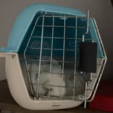 Переноски для кошек 4