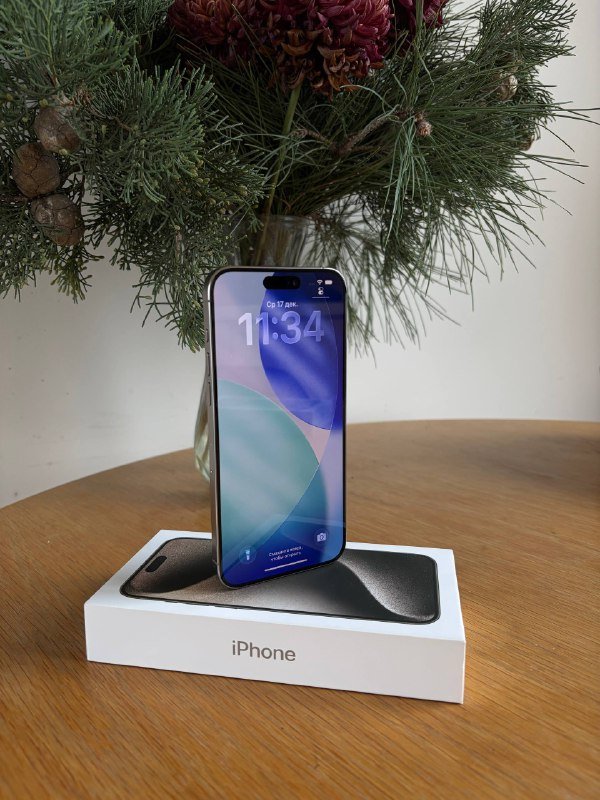 iPhone 15 Pro Max 256 GB серый титан 3