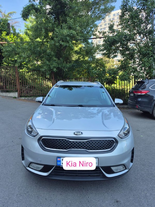Kia Niro 2017 гибридный 3
