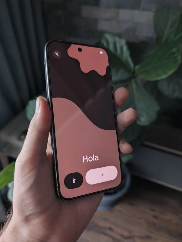 Pixel 9 Pro XL 1