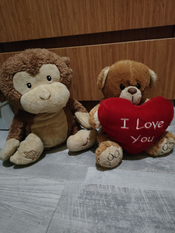 Plush monkey and teddy bear with heart