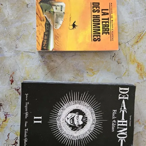Книги на французском, Тетрадь смерти