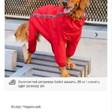 Canada Pooch комбинезон для собаки 1