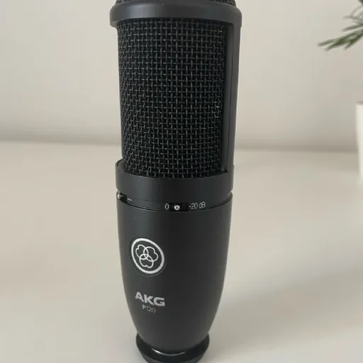 Микрофон akg p120