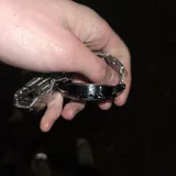 Часы 3