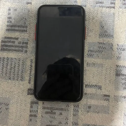 iPhone X