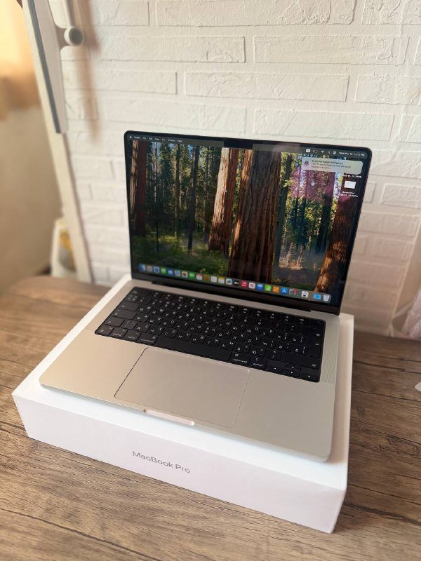 Macbook Pro 14 Inch 2024 M4 Pro 24 1 TB 6