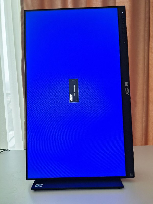 Стол, офисное кресло, монитор ASUS, мультиварка, стул, искусственная елка 7