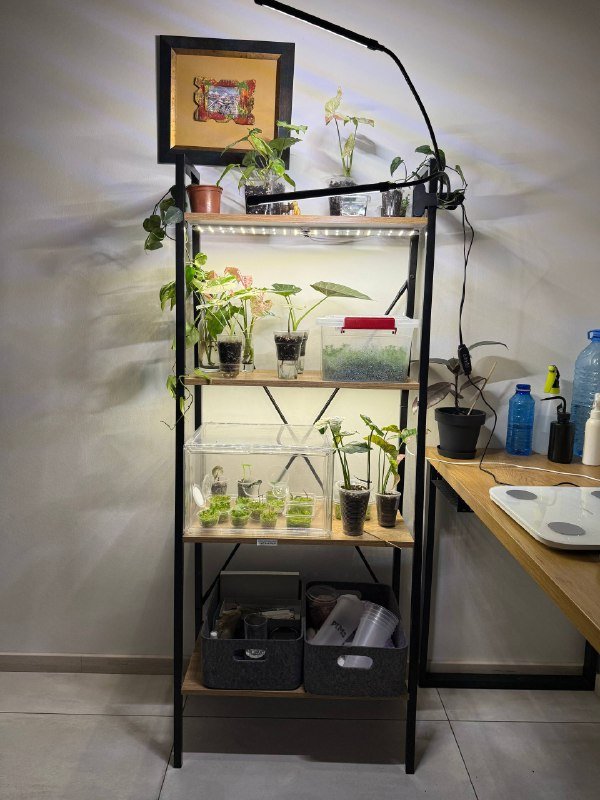 Стеллаж с лампами для растений 2