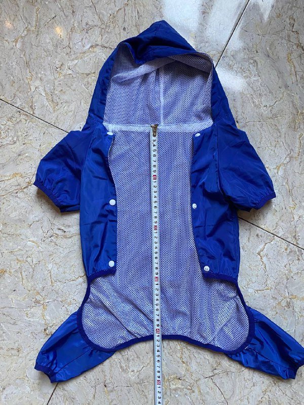 Дождевичок для небольшой собачки