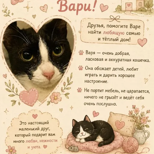 Кошечка Варя