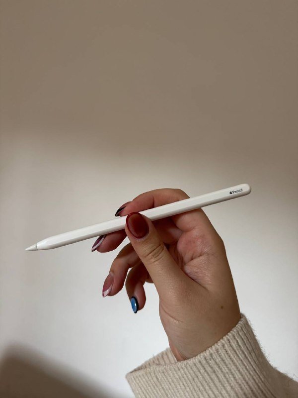 Apple Pencil 2nd generation with case