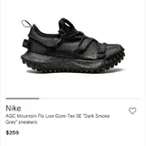 Кроссовки Nike ACG Mountain Fly Low Gore-Tex SE 6
