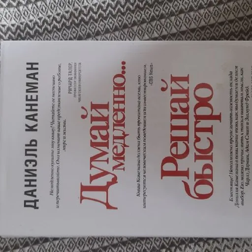 Даниэль Канеман, Думай медленно, решай быстро