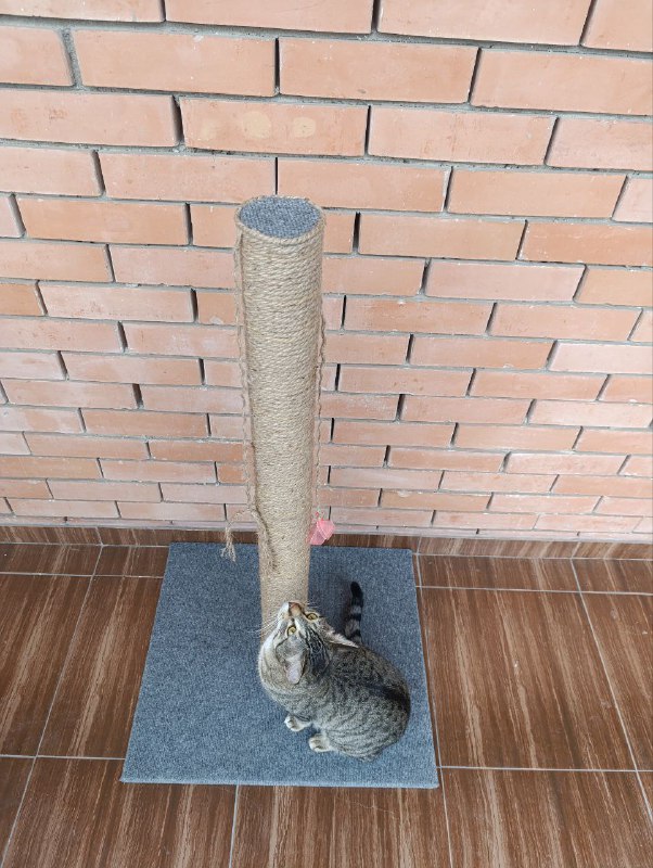 Прочная когтеточка для кошек, ручная работа 2