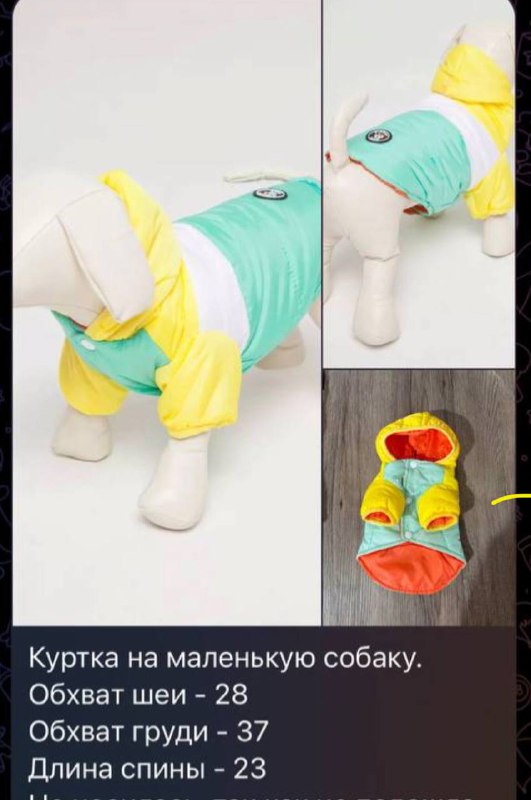 Одежда и средства ухода для маленьких собак 6