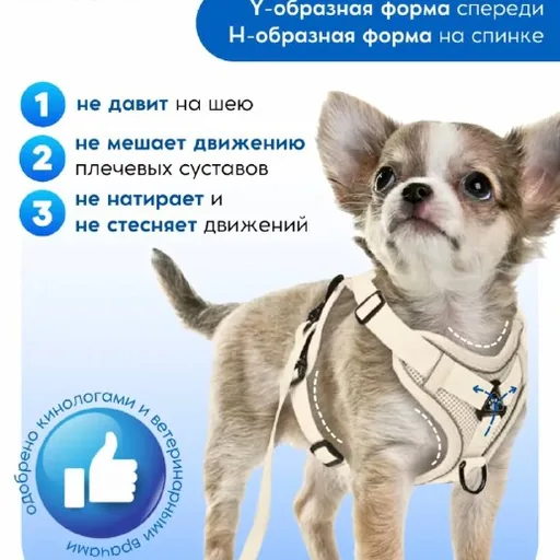 Анатомическая шлейка с поводком и адресником