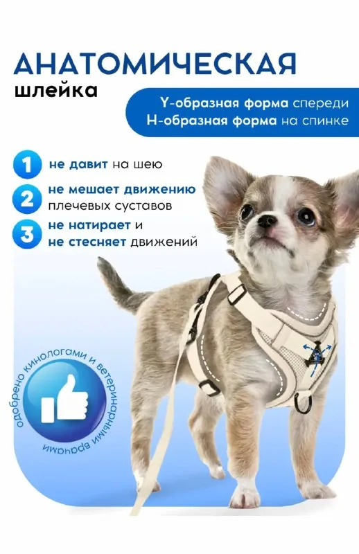 Анатомическая шлейка с поводком и адресником 1