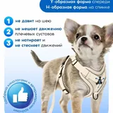 Анатомическая шлейка с поводком и адресником 1