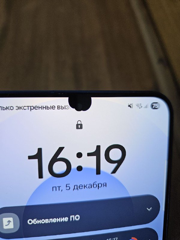 Samsung S25+ с дефектом экрана около камеры 5