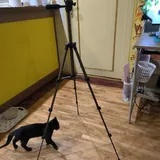 штатив под фотокамеру Hama 3