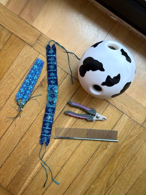 Переноска-рюкзак, шлейки, ошейники, игрушка, когтерез, расческа для собак и кошек 8