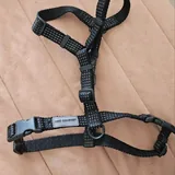 Рулетка Flexi, ошейники, шлейка, поводок, жилет для собаки 3