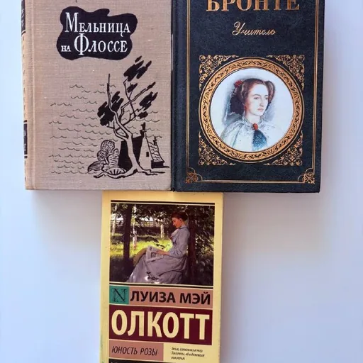 Мельница на Флоссе, Учитель, Юность Розы