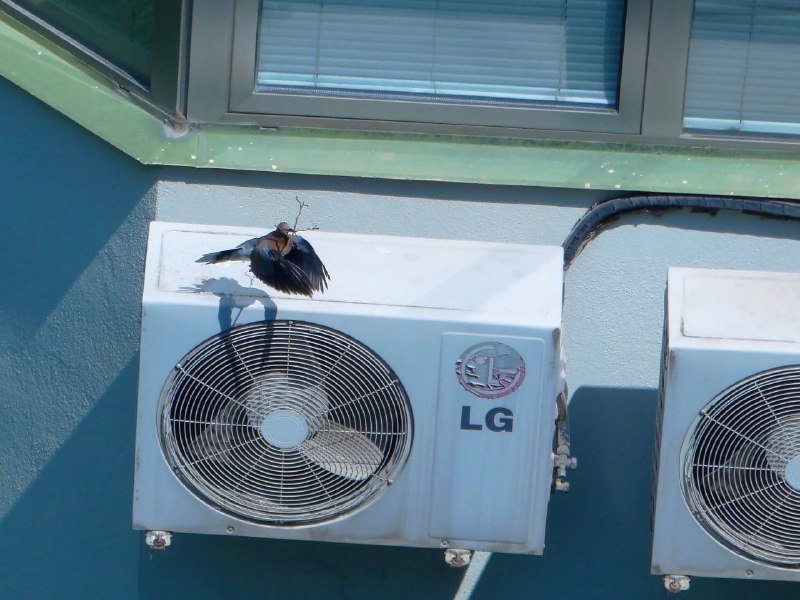 Цифровой фотоаппарат Sony Cybershot DSC-HX100V 5