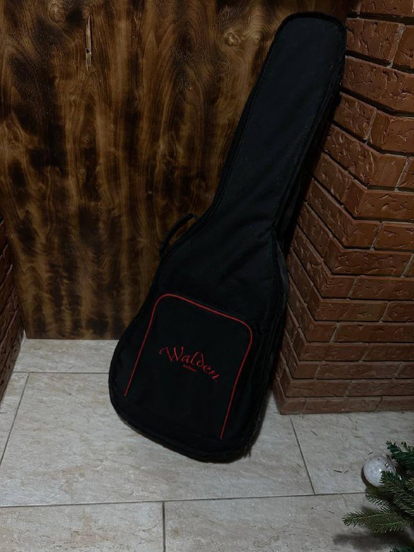 Акустическая гитара Walden 6-струнная Дредноут 4