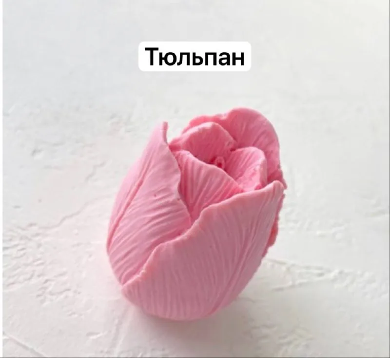 Силиконовые молды, пищевые красители 1