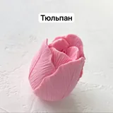 Силиконовые молды, пищевые красители 1