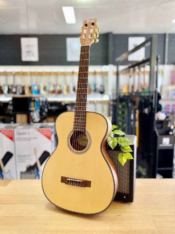 Классическая гитара Valencia 4/4