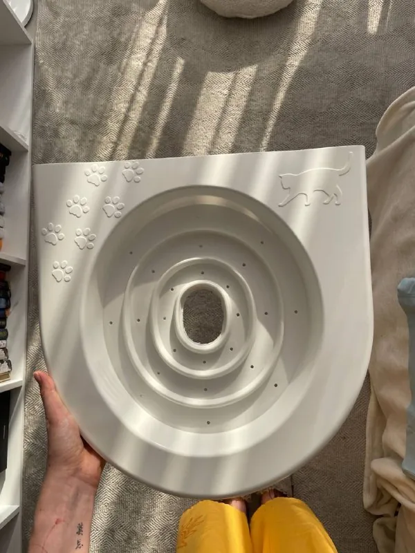 Cat toilet training system