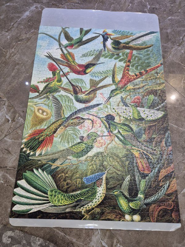 Пазлы Ravensburger 368 и 1000 элементов, Пазл-квест 10