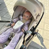 Автокресло Cybex Cloud Z i-Size с базой Isofix 4