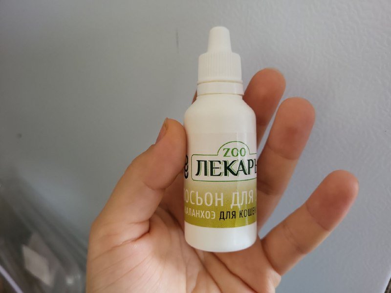 Когтеточка, лесенка, чип, капли, тесты, ошейник, игрушка для кошек и собак 4