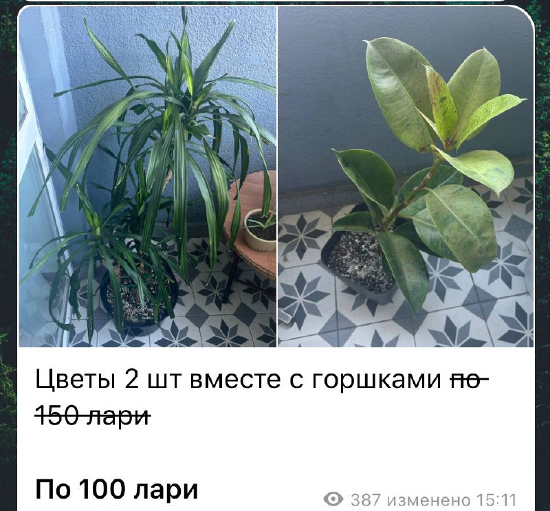 Тарелки, миски, скатерть, цветы с горшками, обеденный стол, стеклянные бокалы, полка, зеркало 5